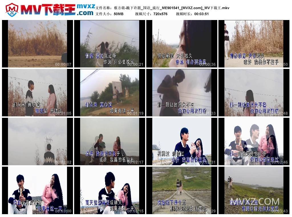 蔡方萌-跪下许愿_国语_流行_ME901541